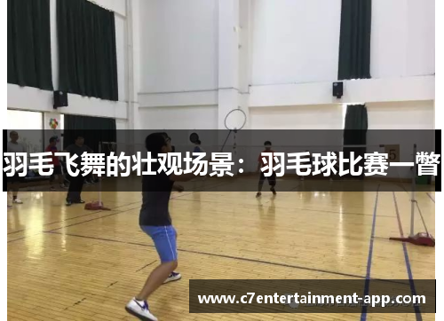 羽毛飞舞的壮观场景：羽毛球比赛一瞥